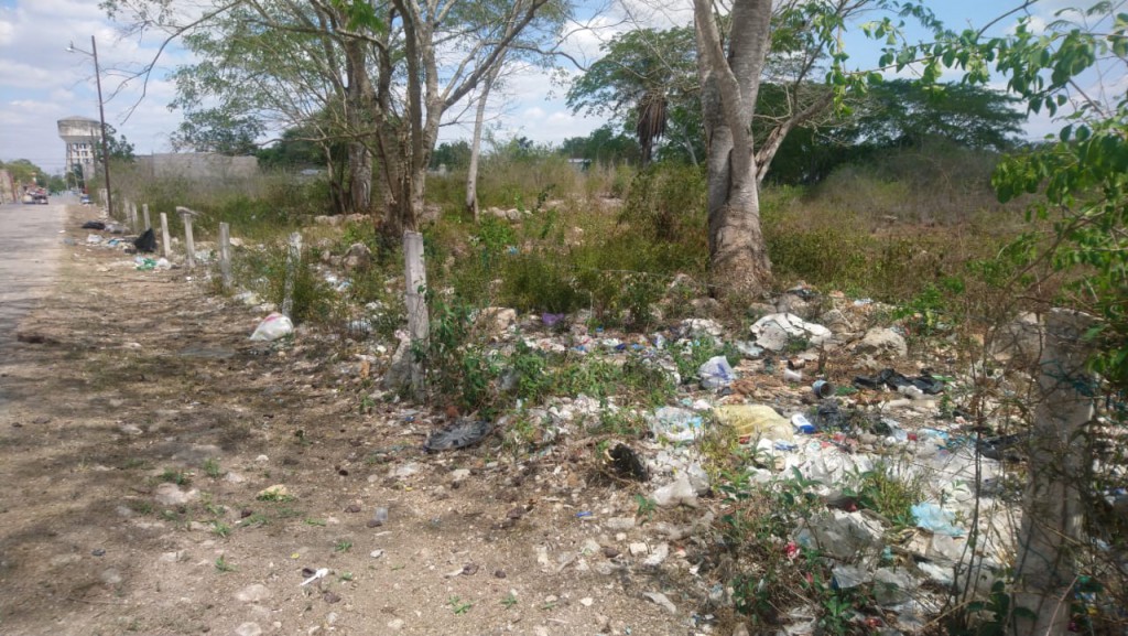 Multas en Valladolid a los que arrojen basura en lugares prohibidos
