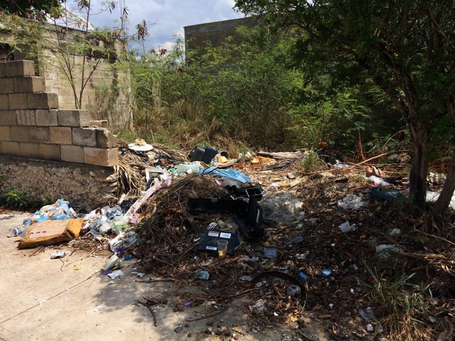 Más de mil reportes por predios abandonados en Mérida