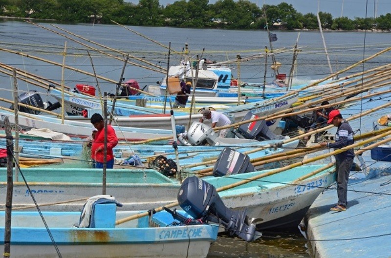 Más de 10 mil personas se dedican a la pesca en Yucatán