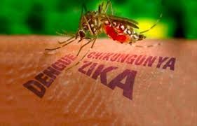 Además del Covid-19, Yucatán está expuesto al dengue, zika y chikungunya