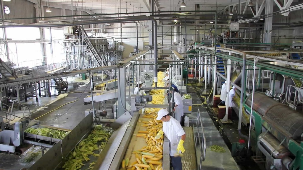 Reconocen que ha sido mínimo el recorte de persona en industria alimenticia