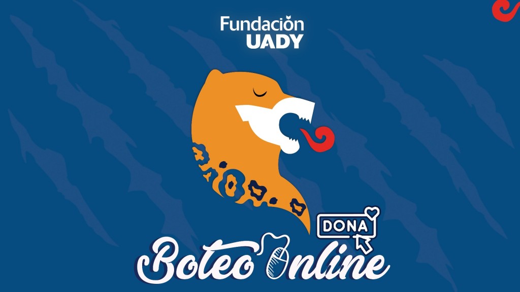 Fundación UADY arranca boteo online