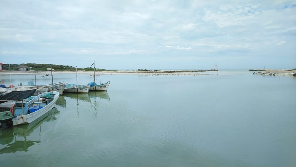 Crisis para pescadores, su trabajo ha sido golpeado