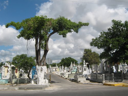 Riesgo de derrumbe en mausoleos del Cementerio General