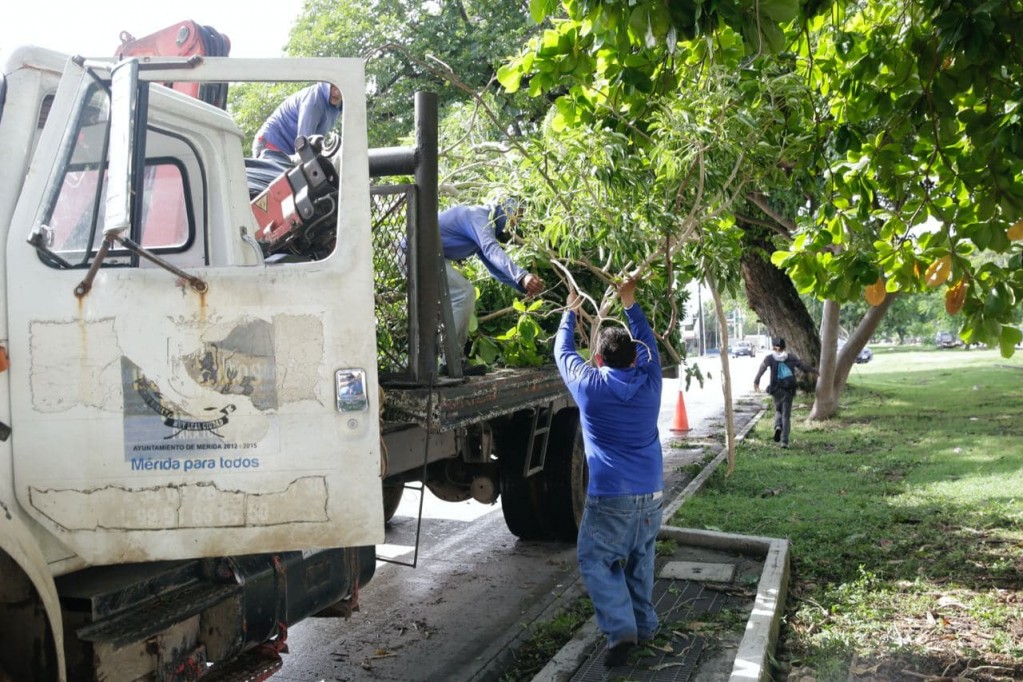 Avanza limpieza de Mérida tras el paso de “Grace”