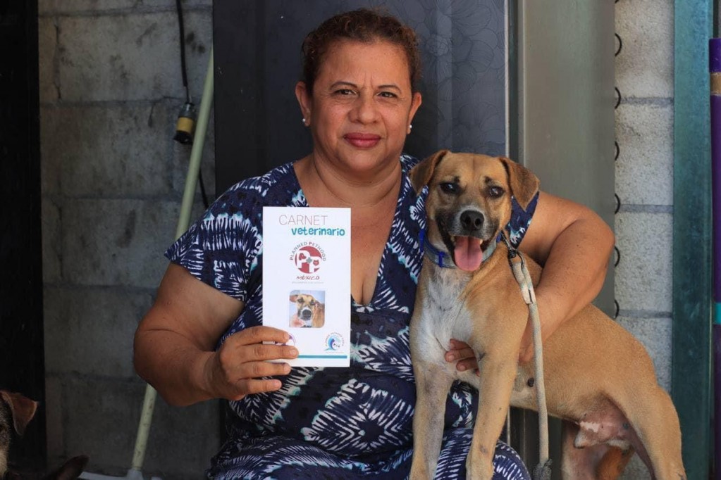 Chino, perrito sagrado de Kukulkán, ya tiene hogar digno