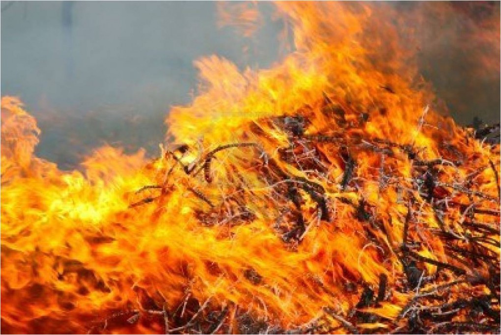 Se registra 30% menos de incendios en Yucatán este año