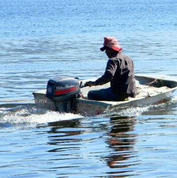Emiten recomendaciones a los pescadores que se sumergen para capturar pepino de mar