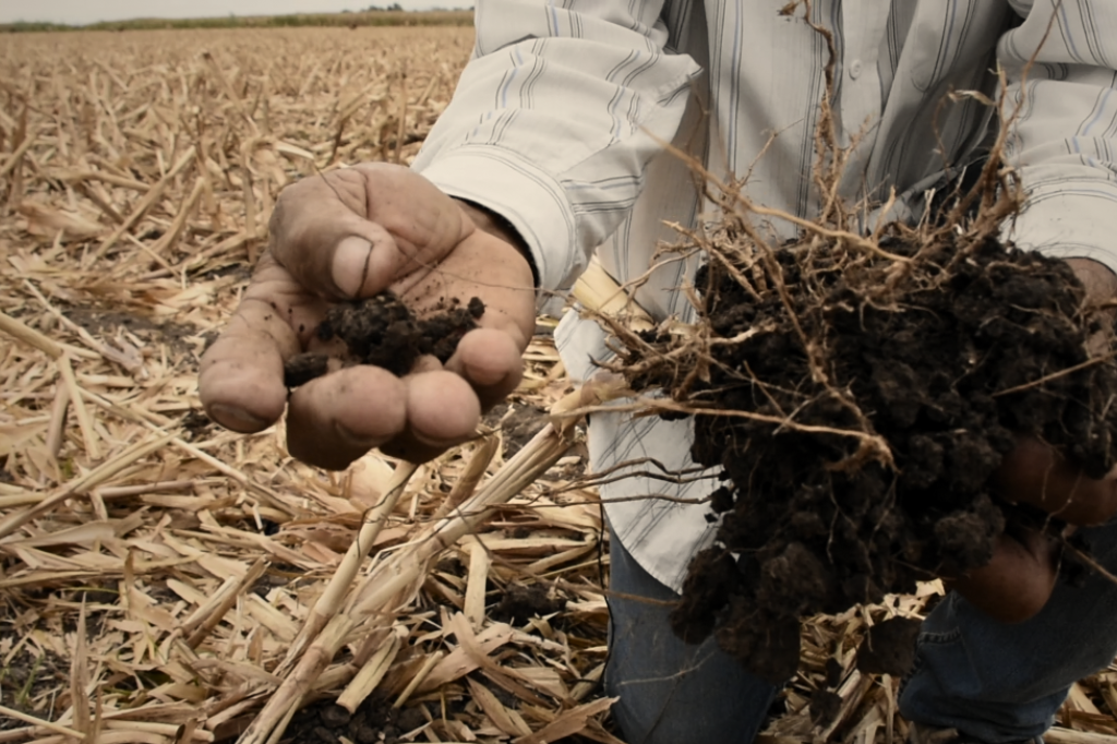 (Foto: Francisco Alarcón / CIMMYT)