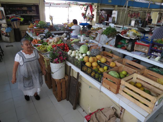 "Manita de gato" en los 12 mercados de Mérida a mediados del año