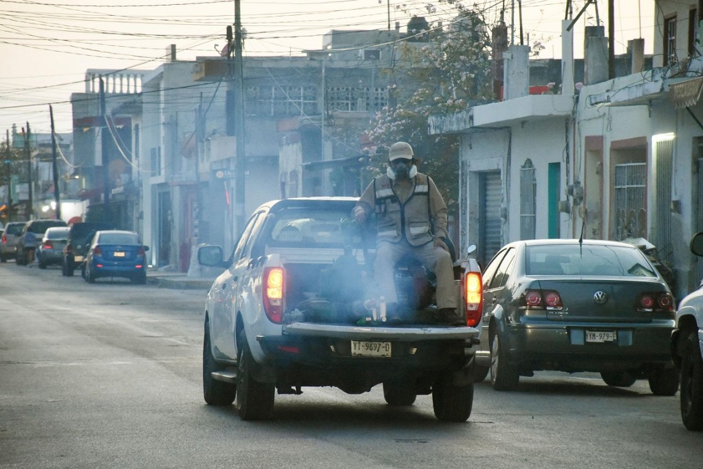 Cortesía Cortesía