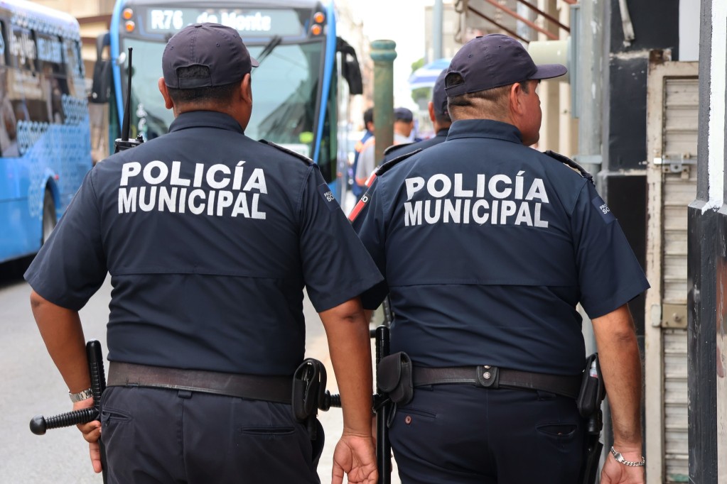 Cortesía Cortesía