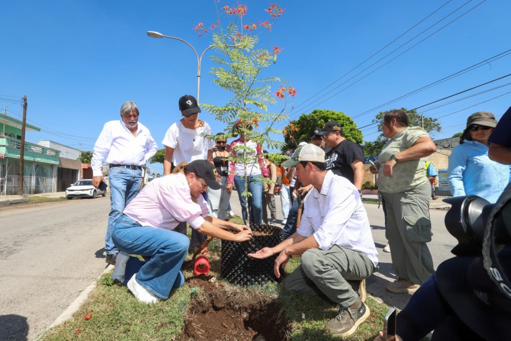 Reforestaron la colonia Francisco I. Madero en Mérida Reforestaron la colonia Francisco I. Madero en Mérida