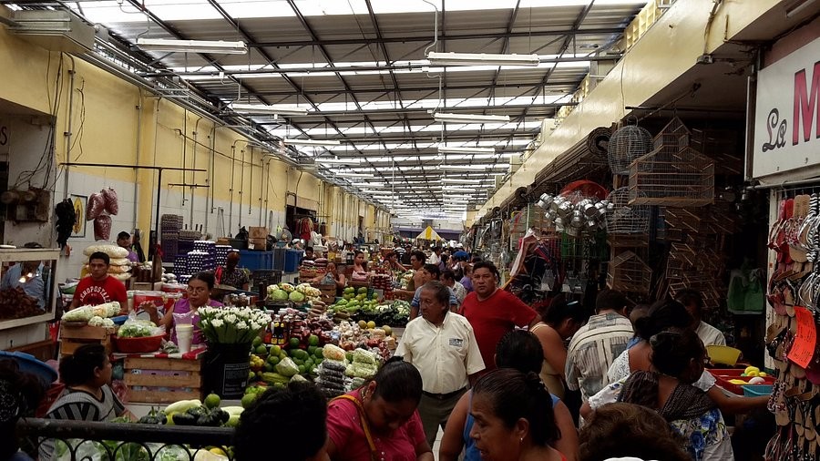 Realiza el Ayuntamiento de Mérida acciones de limpieza en el Lucas de Gálvez