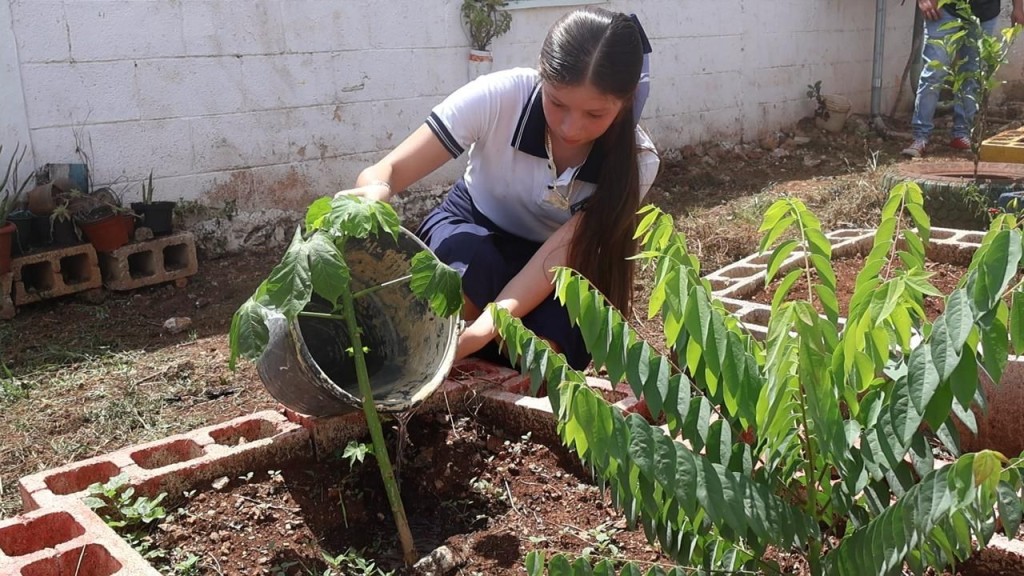 Se suman escuelas de Yucatán al programa Escuela Sustentable