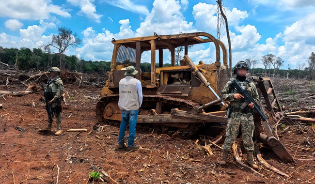 Clausura Profepa 17 predios en la Península de Yucatán, por afectaciones a la selva Clausura Profepa 17 predios en la Península de Yucatán, por afectaciones a la selva