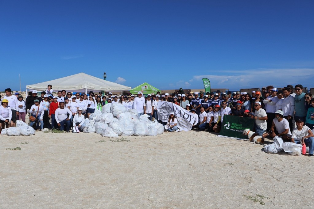 Retiran cinco toneladas de residuos, tras limpieza de playas en Yucatán
