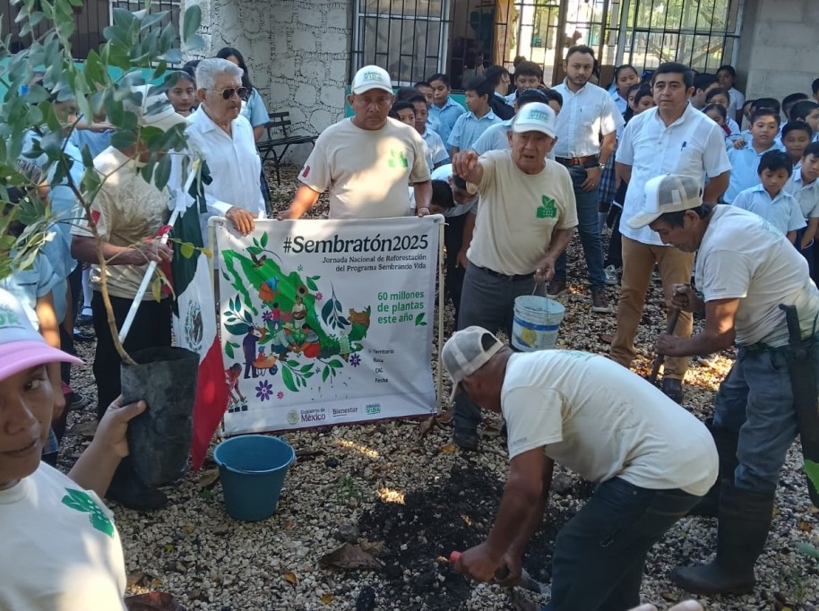 Reforestan escuela de Tizimín, con árboles de varias especies Reforestan escuela de Tizimín, con árboles de varias especies