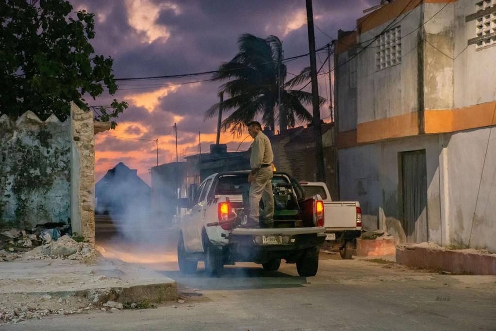 Intensifica fumigaciones Ayuntamiento de Mérida, ante plaga de moscos