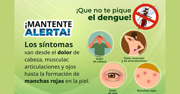 No figura Yucatán en los primeros lugares nacionales en casos de dengue.