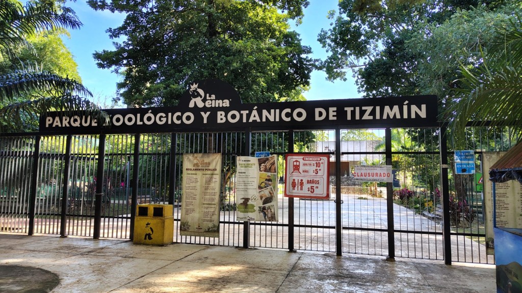 Aclaran que están bien los animales del Zoológico de Tizimín Aclaran que están bien los animales del Zoológico de Tizimín