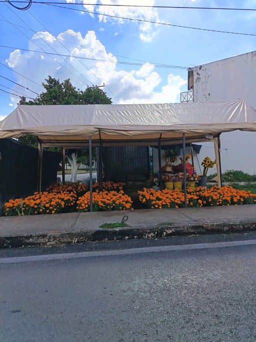 El Día de Muertos no ha revivido el comercio de las flores El Día de Muertos no ha revivido el comercio de las flores