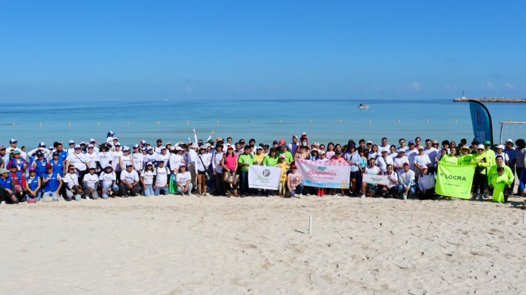 Realizan Limpieza de Playas Rosa para proteger costas yucatecas Realizan Limpieza de Playas Rosa para proteger costas yucatecas