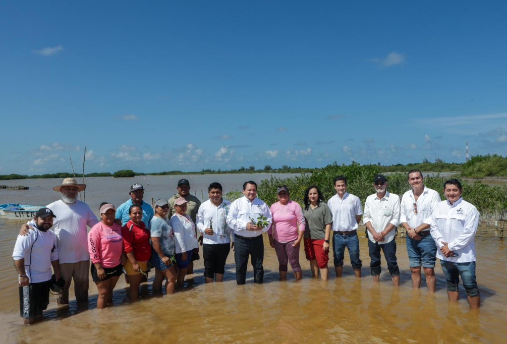 Lanza Yucatán estrategia integral para restauración de humedales costeros Lanza Yucatán estrategia integral para restauración de humedales costeros