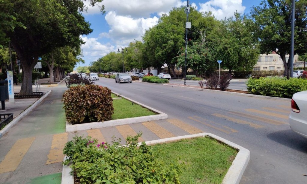 Intervención en Paseo de Montejo prioriza seguridad y fluidez vial, afirma Sefotur