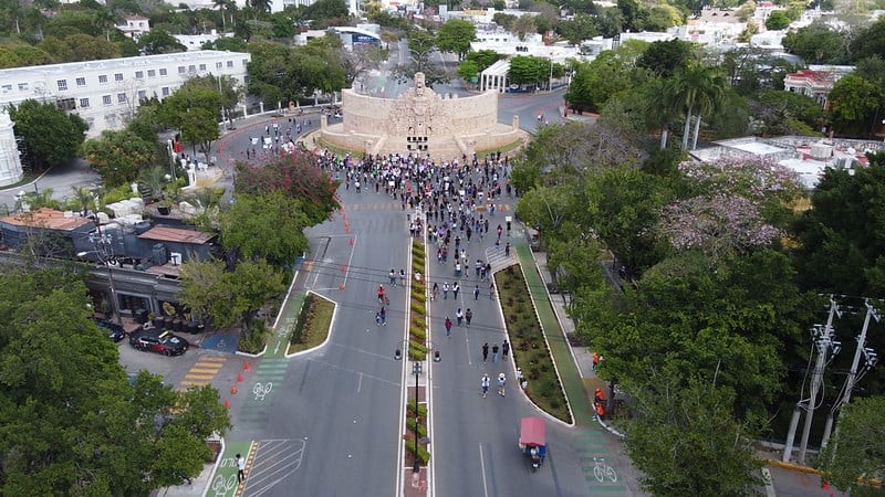 Analizan Cambios en jardineras del Paseo de Montejo, para mejorar seguridad vial