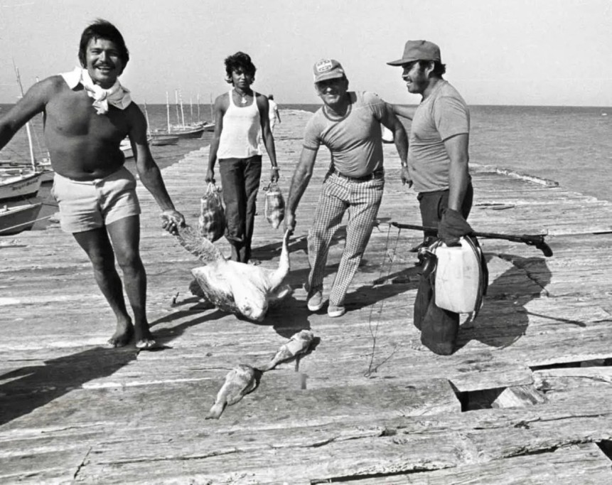 En la Opinión de Fidel Dzib