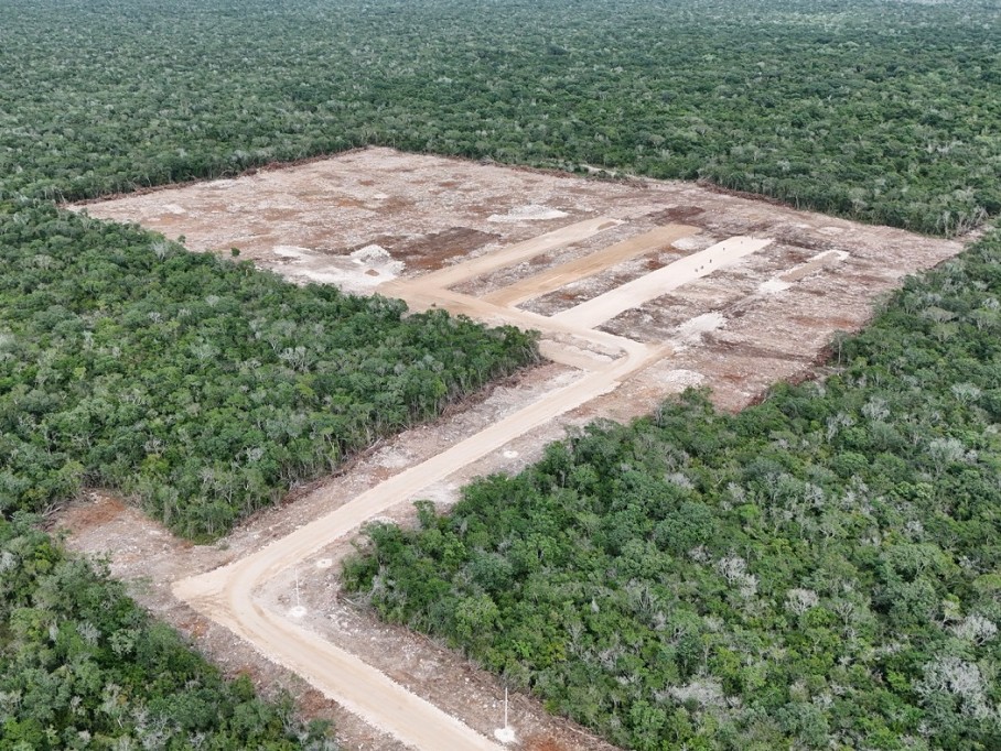 Profepa clausura predio en Kinchil