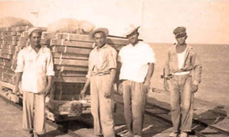 ¿Sabías que El Cuyo fue un puerto maderero de relevancia?