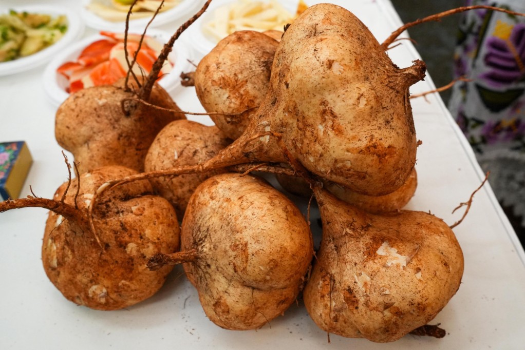 Yucatán no sólo sabe a cochinita, la jícama también es uno de sus sabores