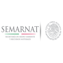Semarnat promueve el interés entre la comunidad sobre la preservación de las mariposas y su hábitat