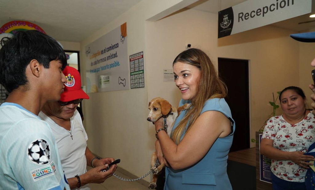 Esterilizo el Ayuntamiento de Mérida a 187 perritos callejeros