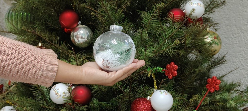 Recomienda IMSS Yucatán medidas preventivas para colocación del árbol navideño