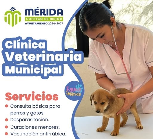 Incrementarán los servicios en la Clínica Veterinaria Municipal