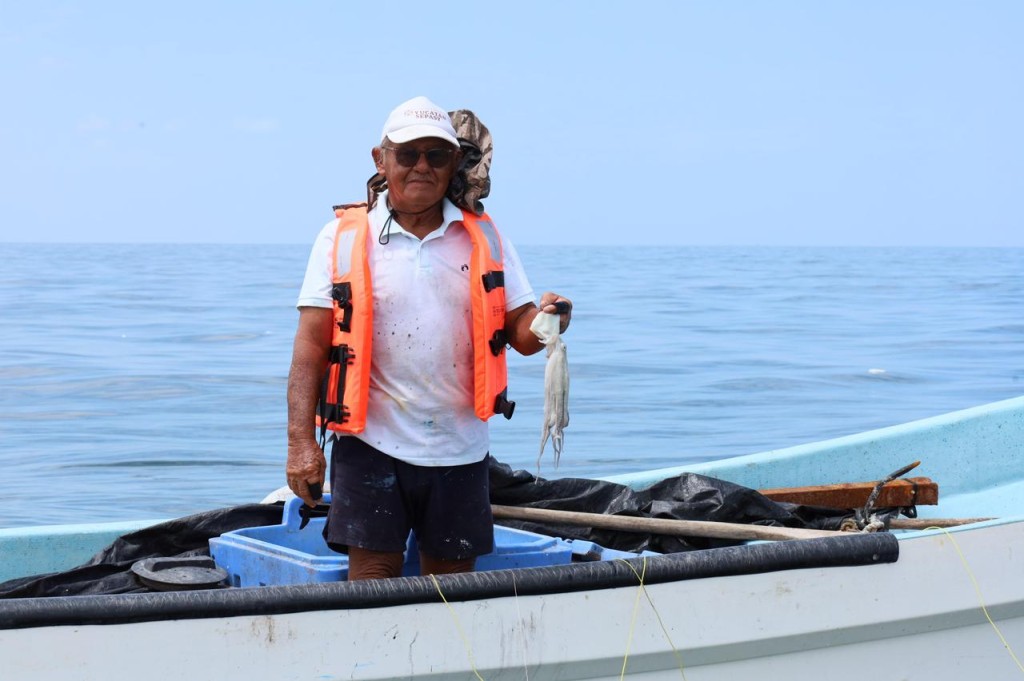 Costa yucateca cierra exitosa temporada de pulpo, con 25 mil ton