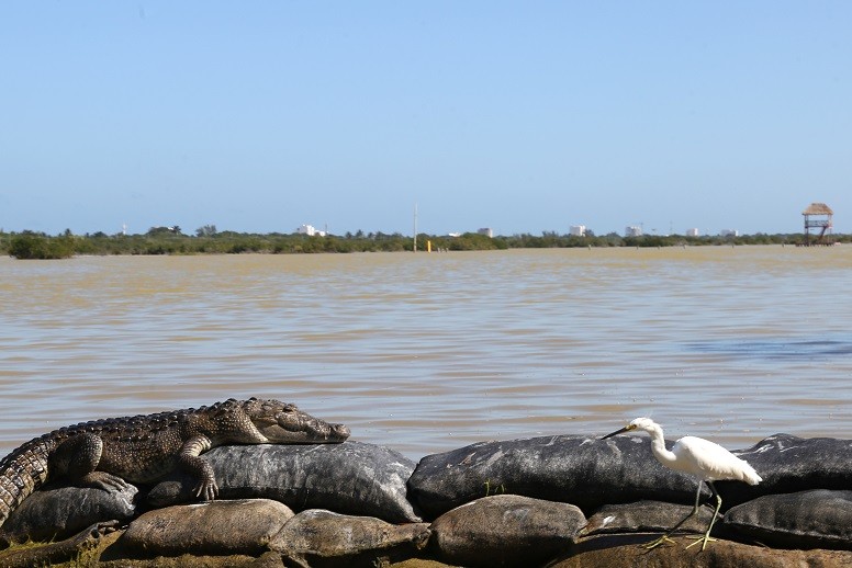 Se consolida El Corchito como uno de los paradores turísticos más visitados de la temporada, con mejores instalaciones