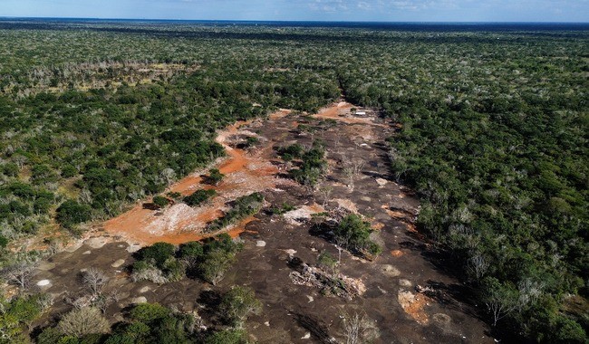 Profepa clausura terreno en Kinchil