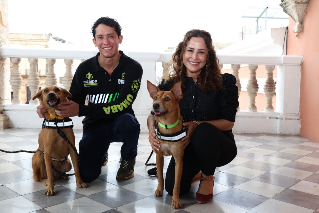 Mérida coronará a sus Reyes Caninos, este domingo