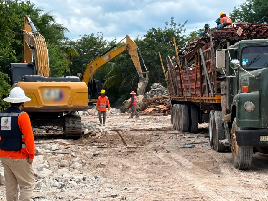Intensifica Profepa inspecciones y sanciones en el sureste