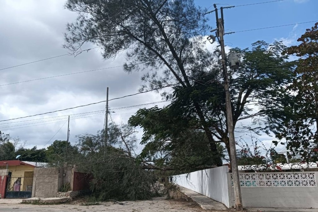 Se registran dos incidentes en el oriente, por vientos del Frente Frío #33