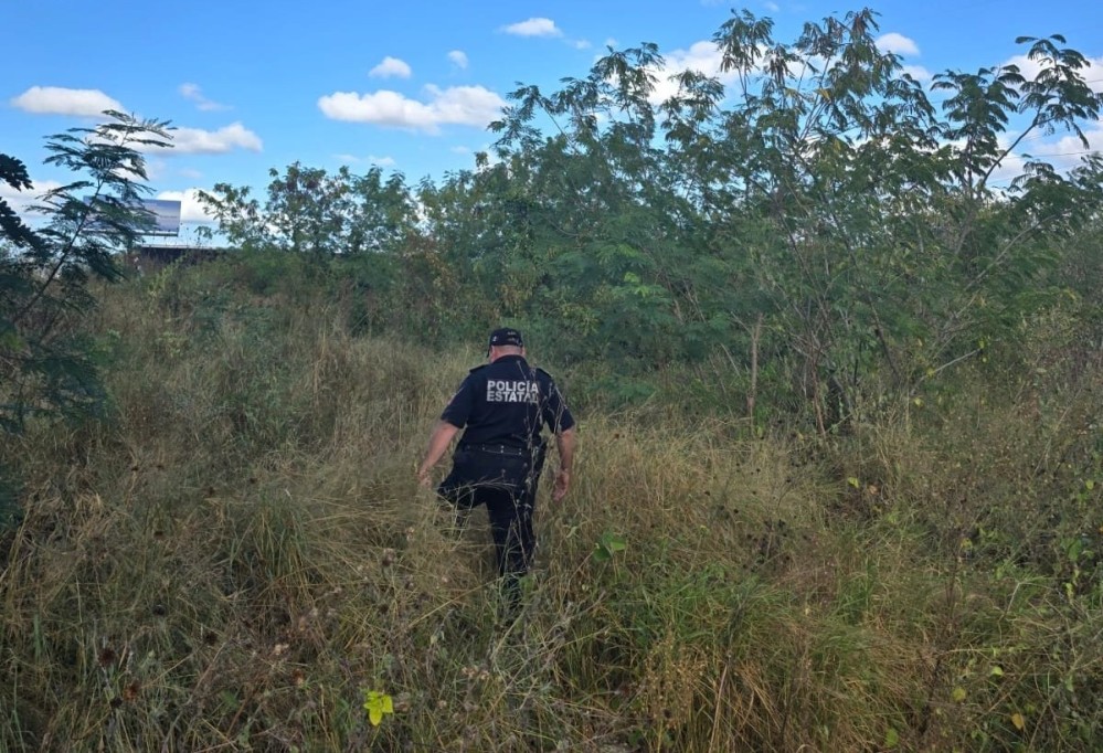 Se suicida joven en un rancho de Tizimín, donde trabajaba