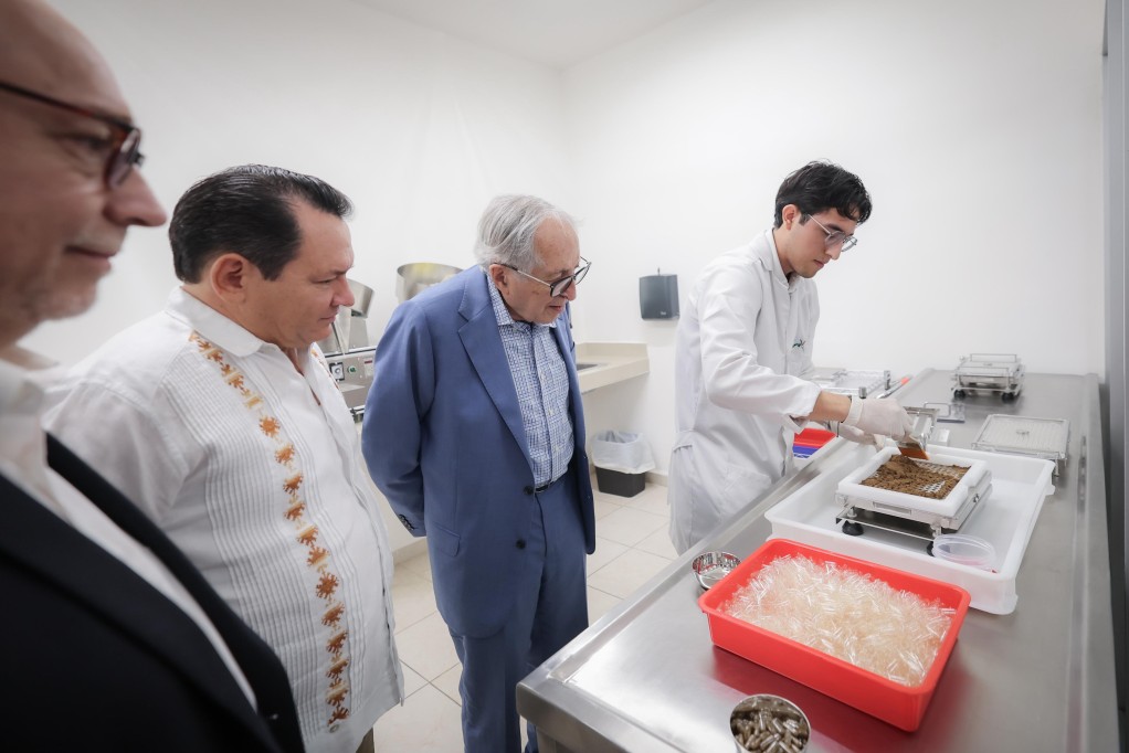 Es Yucatán referente nacional en innovación para el control del dengue y otras arbovirosis