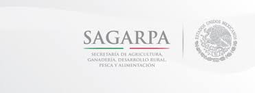 Sagarpa respalda apoyos  para los yucatecos