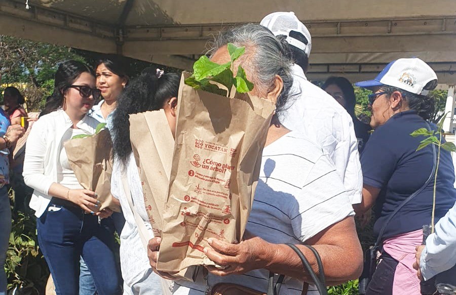 Entregan 5 mil plantas nativas en Hunucmá para impulsar biodiversidad y apicultura