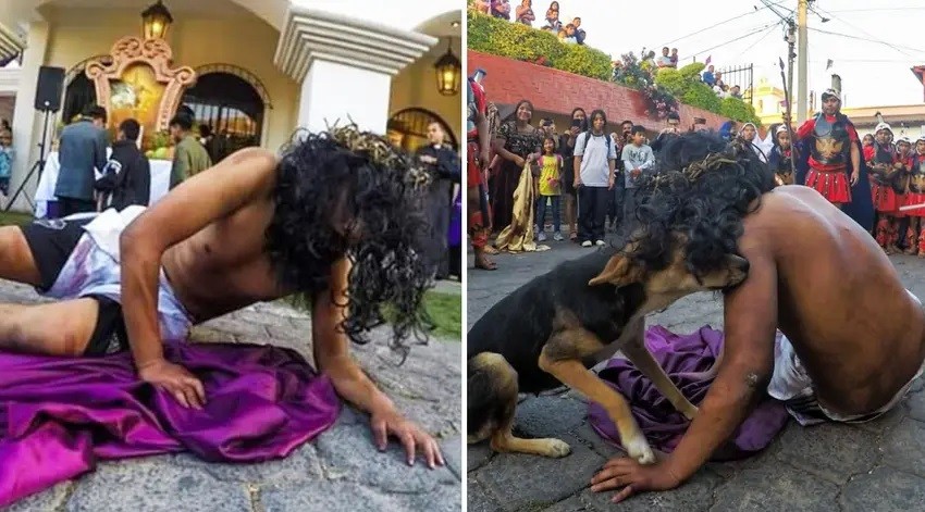Desde la caída de Jesús de su cruz, hasta un perrito consolando al nazareno, los viacrucis 2026
