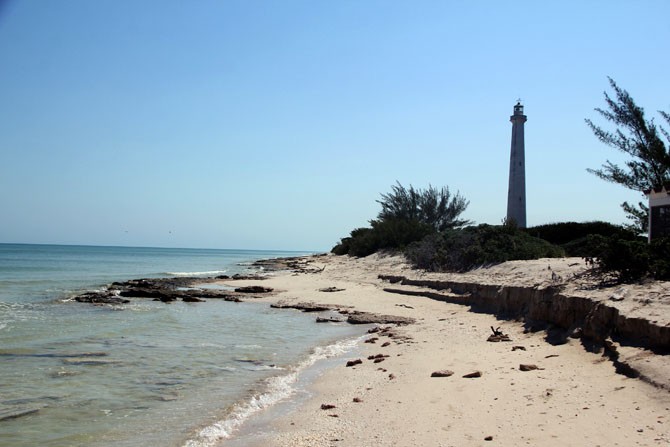 Implementarán operativo coordinado para proteger Reserva Estatal El Palmar